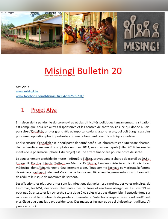 Bulletin 20